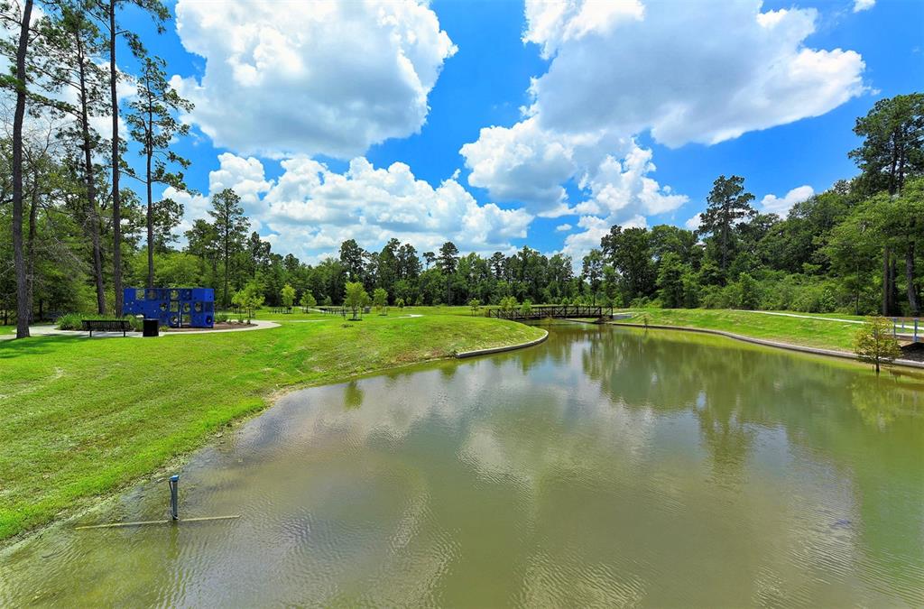 8442 Horsepen Bend Drive, Conroe, Texas image 49