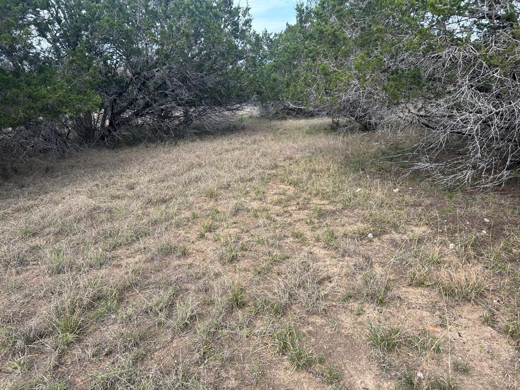 LOT 519 & LOT 520 Buckskin Trail, Bandera, Texas image 4