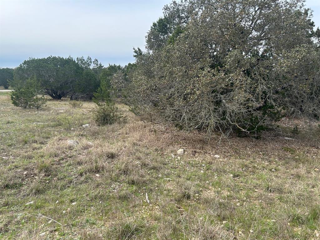 LOT 519 & LOT 520 Buckskin Trail, Bandera, Texas image 7