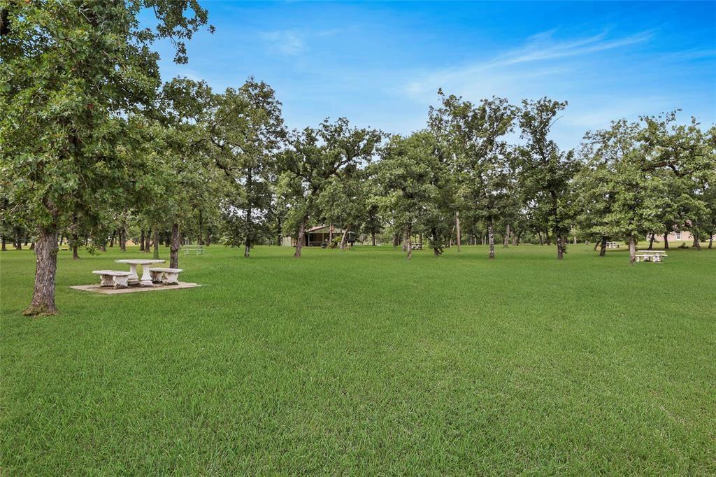 26109 Deerwood Drive, Hempstead, Texas image 33