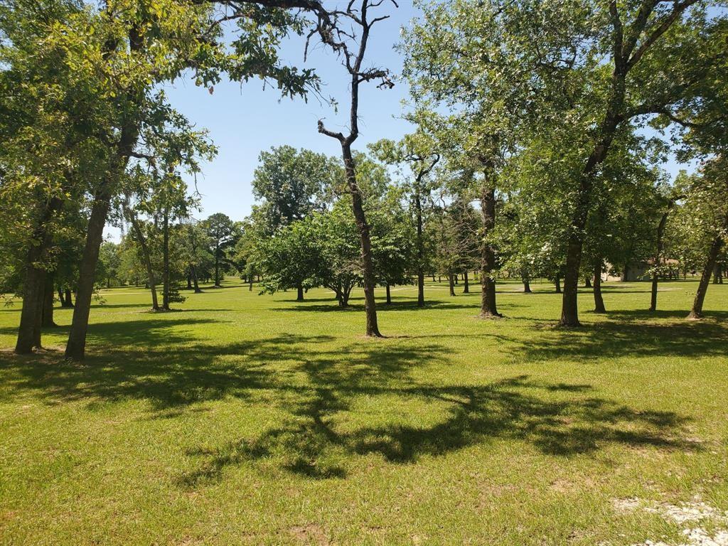 26109 Deerwood Drive, Hempstead, Texas image 32