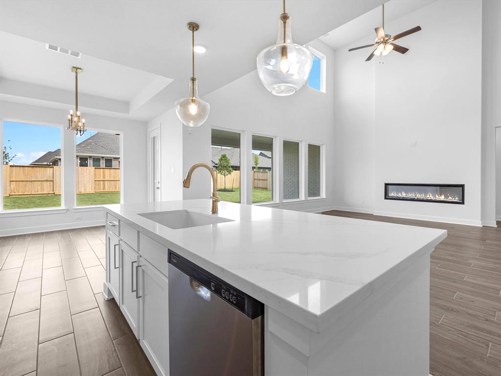 16263 Blue Mistflower Lane