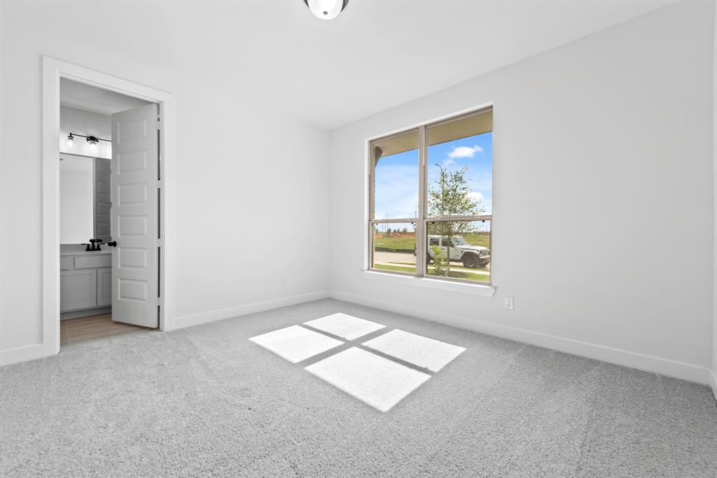 16263 Blue Mistflower Lane, Hockley, Texas image 14