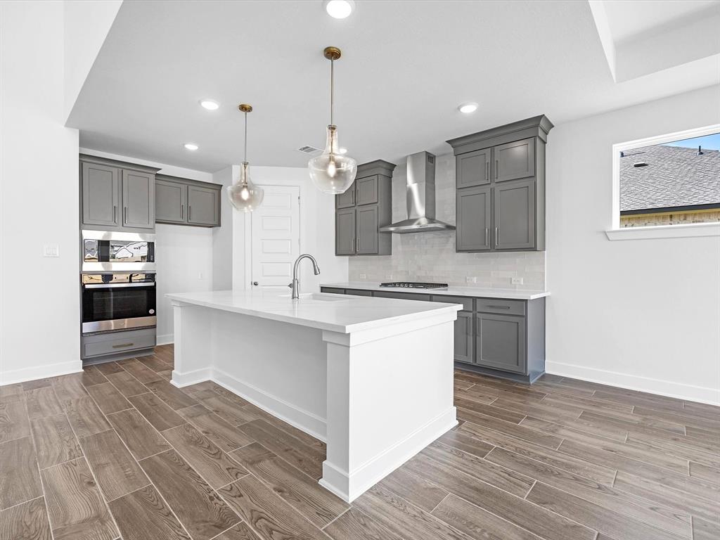 16263 Blue Mistflower Lane