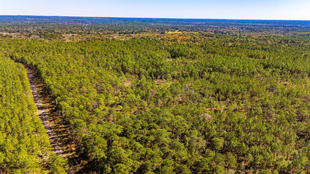 0314 Sportsman Retreat Road, Onalaska, Texas image 4