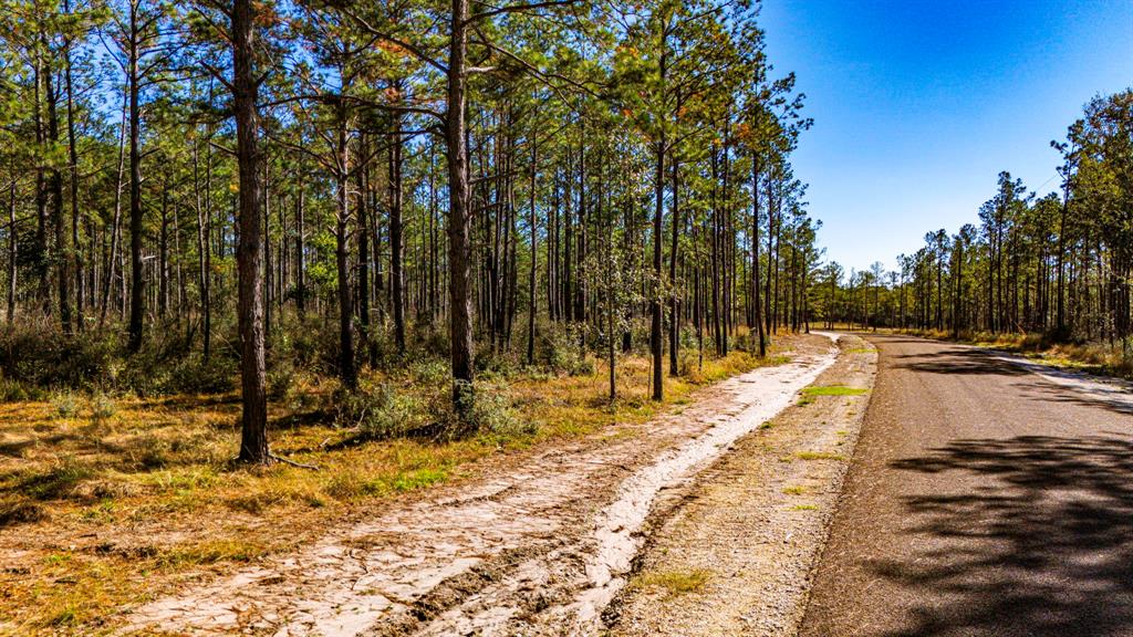 0314 Sportsman Retreat Road, Onalaska, Texas image 10