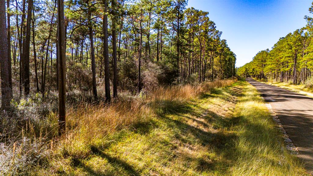 0314 Sportsman Retreat Road, Onalaska, Texas image 8