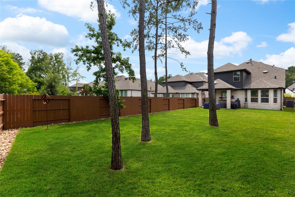 221 Sky Top Drive, Montgomery, Texas image 38