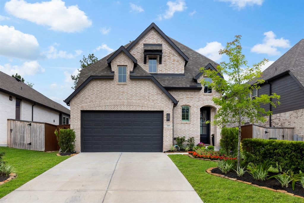 221 Sky Top Drive, Montgomery, Texas image 3