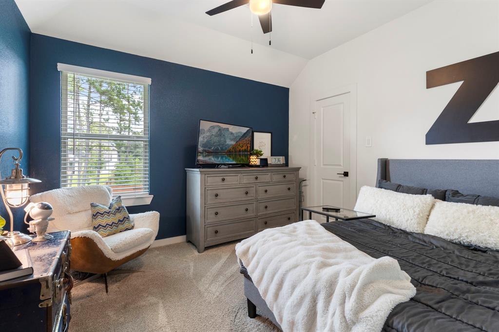 221 Sky Top Drive, Montgomery, Texas image 31