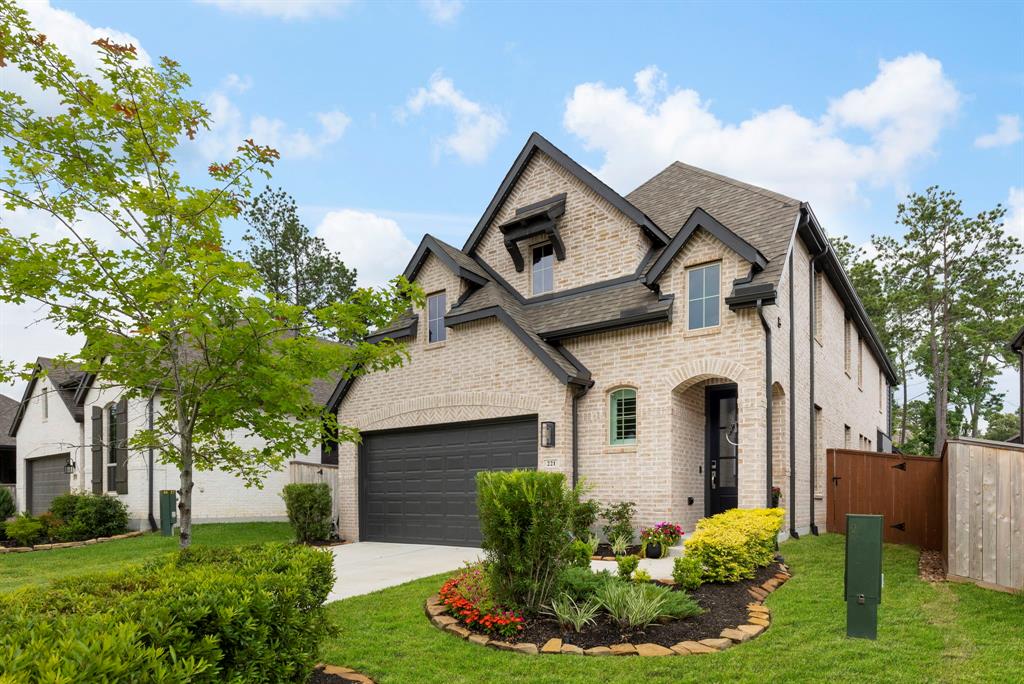 221 Sky Top Drive, Montgomery, Texas image 1