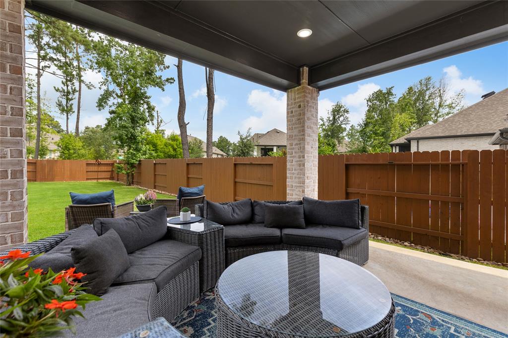 221 Sky Top Drive, Montgomery, Texas image 36