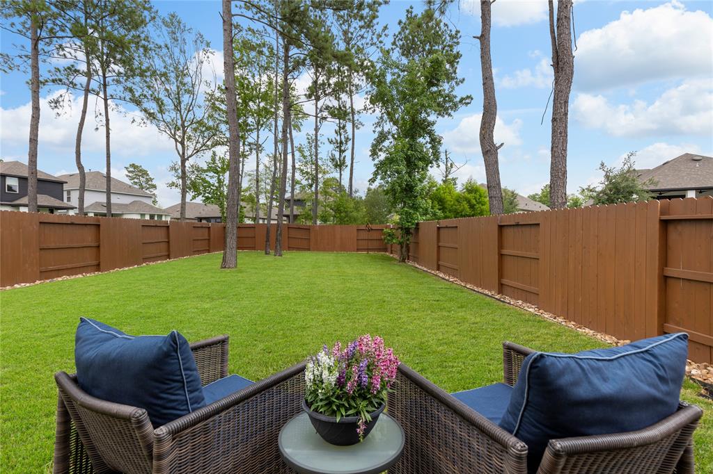 221 Sky Top Drive, Montgomery, Texas image 40