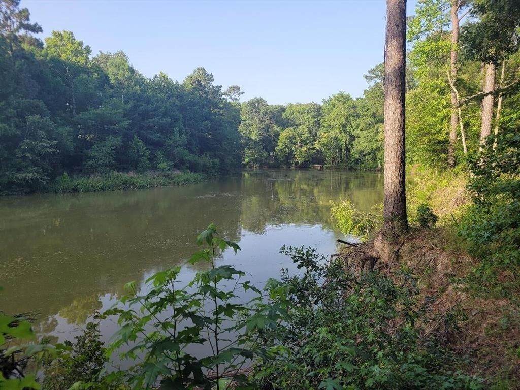 Photo of 24831 River Terrace Road, Huffman, TX 77336 (MLS # 51827317)