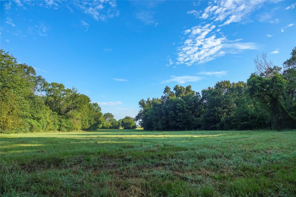 000 Tract #5A Whitehall Ranch Road, Navasota, Texas image 33