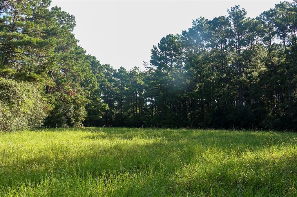 000 Tract #5A Whitehall Ranch Road, Navasota, Texas image 31