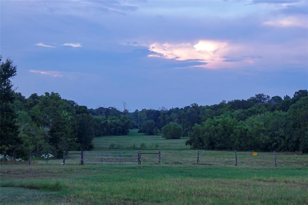000 Tract #5A Whitehall Ranch Road, Navasota, Texas image 40