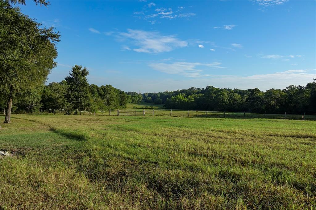 000 Tract #5A Whitehall Ranch Road, Navasota, Texas image 35