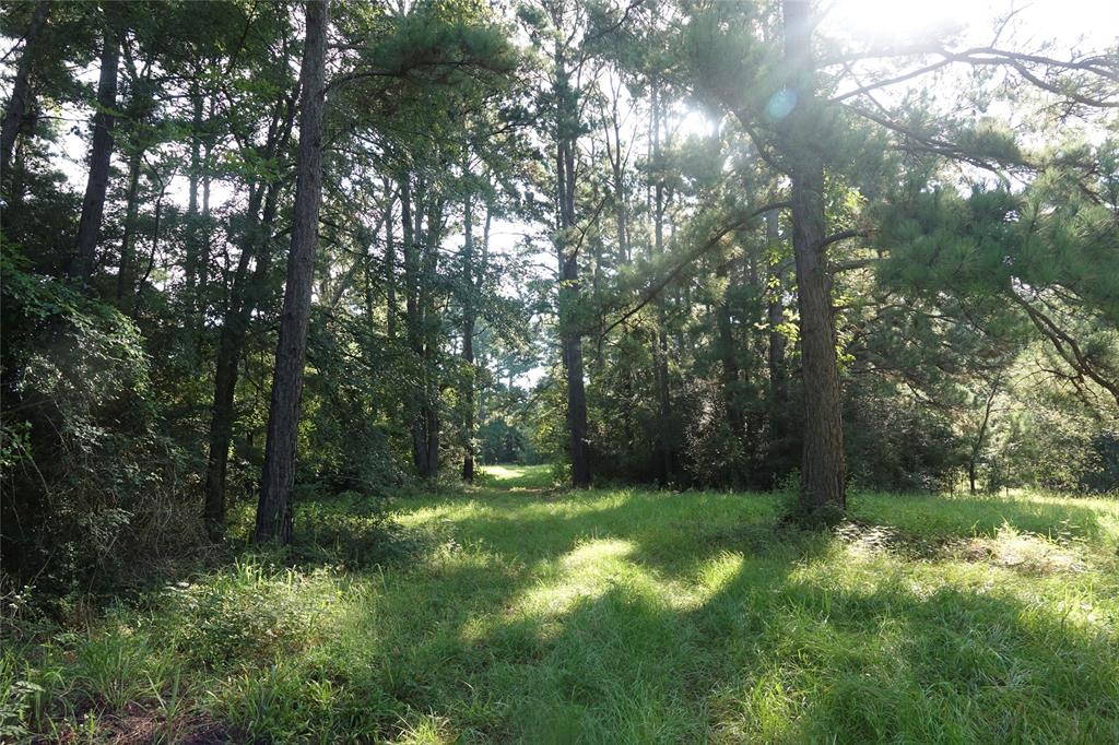 000 Tract #5A Whitehall Ranch Road, Navasota, Texas image 39