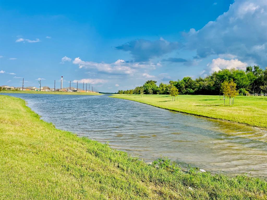 1110 Pecan Harvest Drive, Beasley, Texas image 8