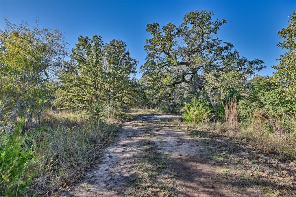 261 Moss Oak Drive, Somerville, Texas image 9