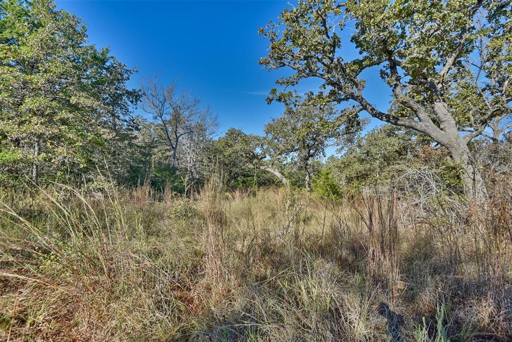 261 Moss Oak Drive, Somerville, Texas image 8