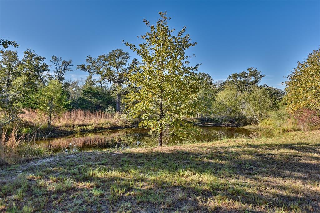 261 Moss Oak Drive, Somerville, Texas image 16