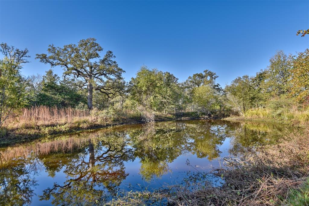 261 Moss Oak Drive, Somerville, Texas image 4