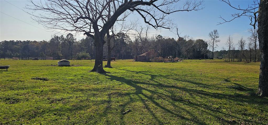 000 County Road 715, Buna, Texas image 1