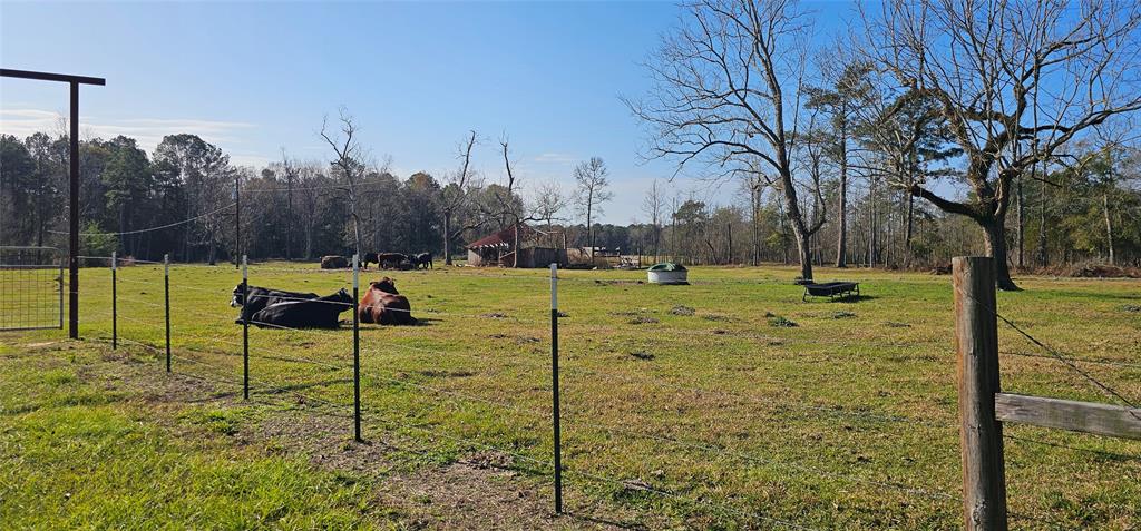 000 County Road 715, Buna, Texas image 5