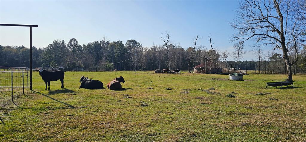 000 County Road 715, Buna, Texas image 3