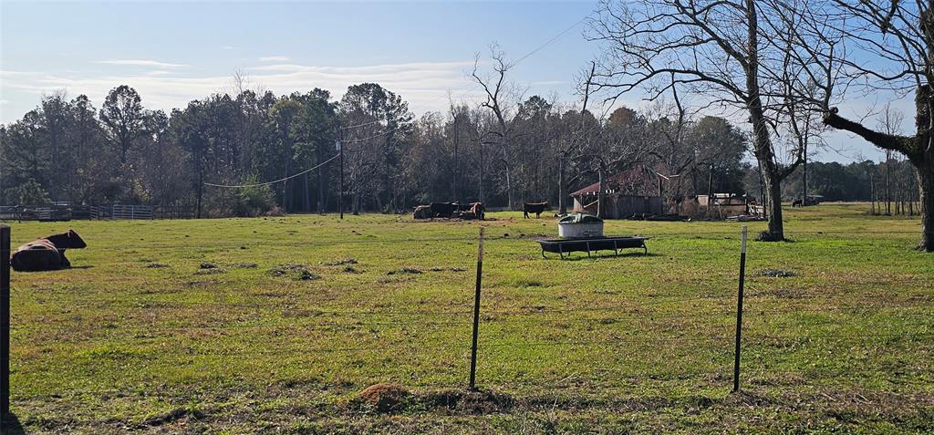 000 County Road 715, Buna, Texas image 8