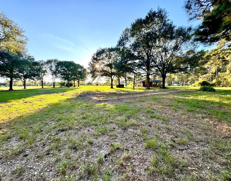 27687 Hoke Road Rd, Richards, Texas image 17