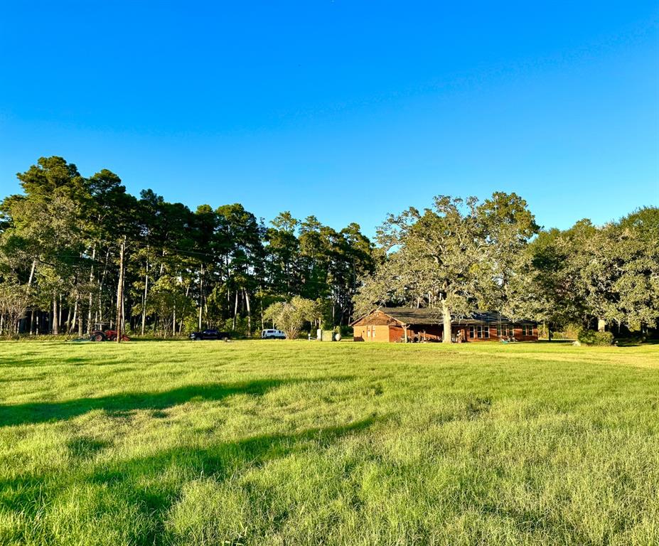 27687 Hoke Road Rd, Richards, Texas image 21