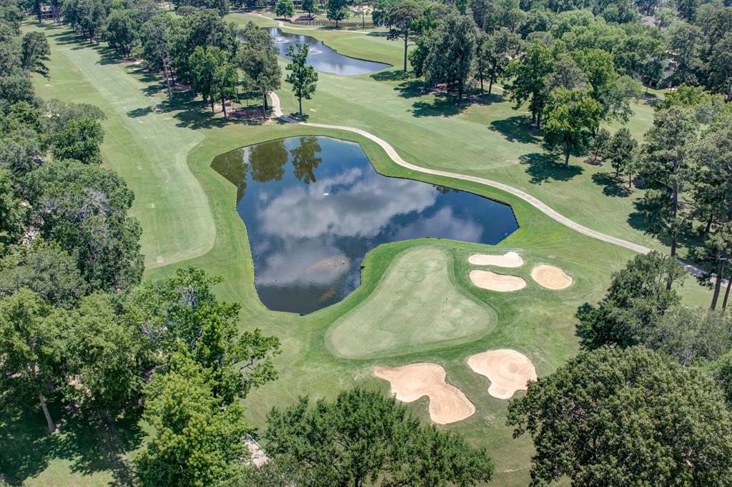 12100 Melville Drive #606, Montgomery, Texas image 48
