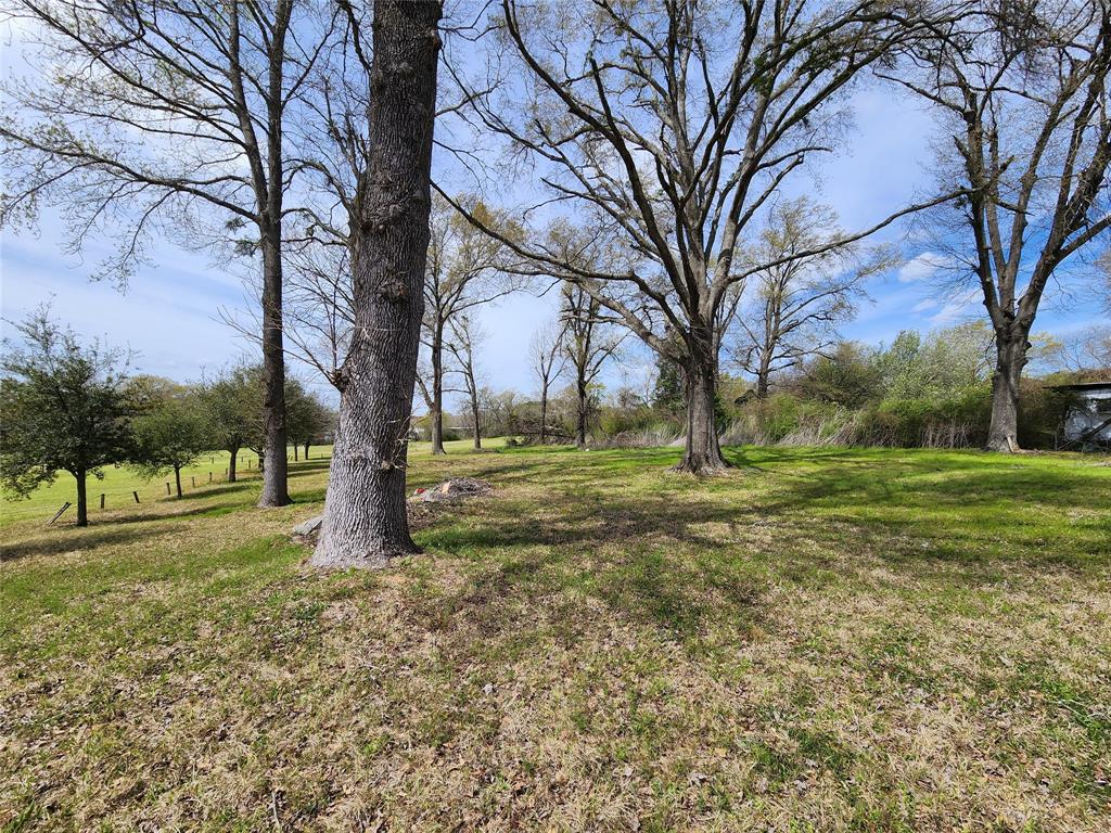 105 Easy Street, Palestine, Texas image 5
