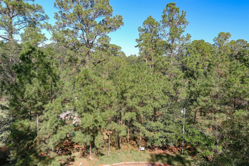 Lot 13 Caperidge Court, Huffman, Texas image 8