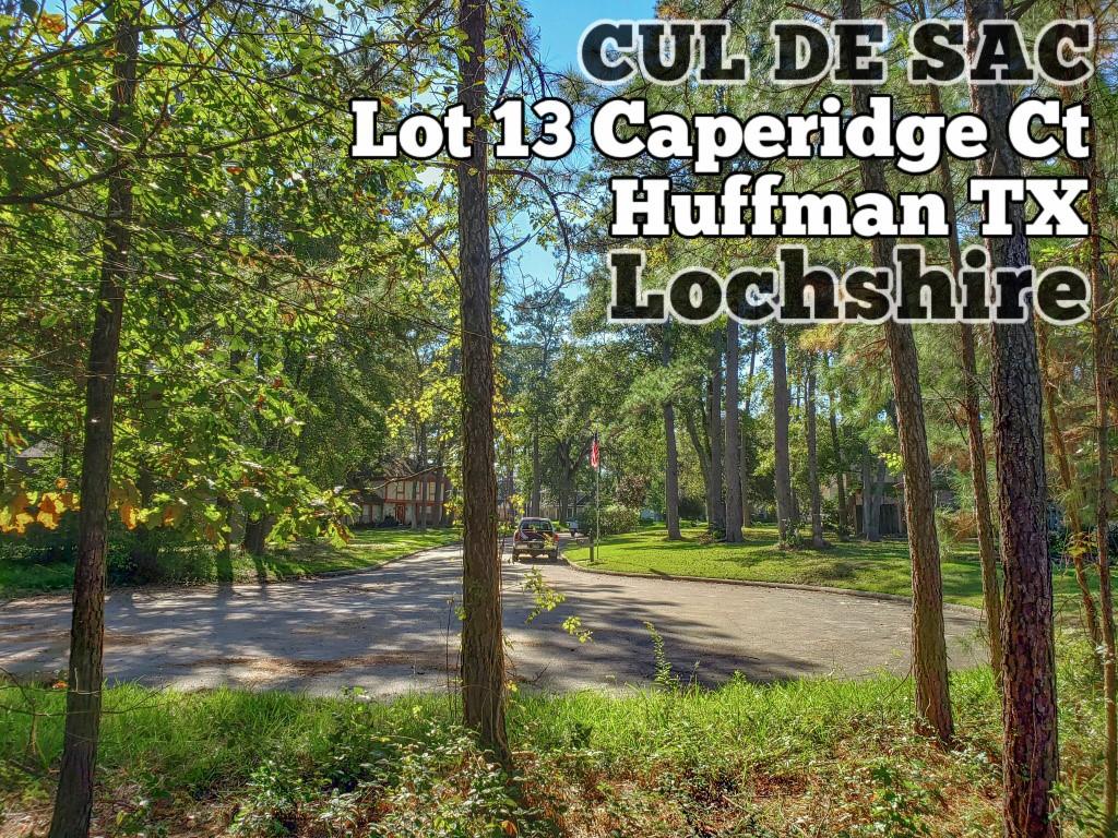 Lot 13 Caperidge Court, Huffman, Texas image 1