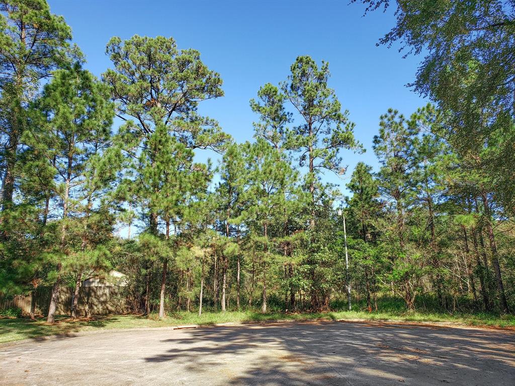 Lot 13 Caperidge Court, Huffman, Texas image 3