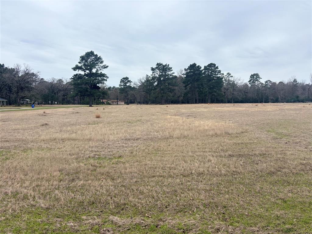 Lot 7 Westover Lane, Trinity, Texas image 15