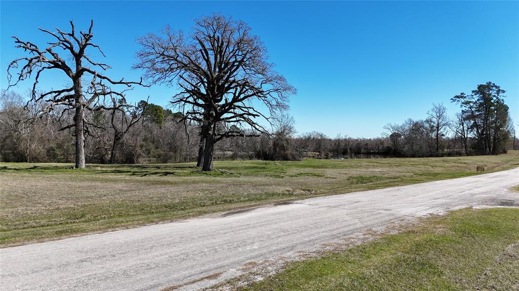 Lot 7 Westover Lane, Trinity, Texas image 8