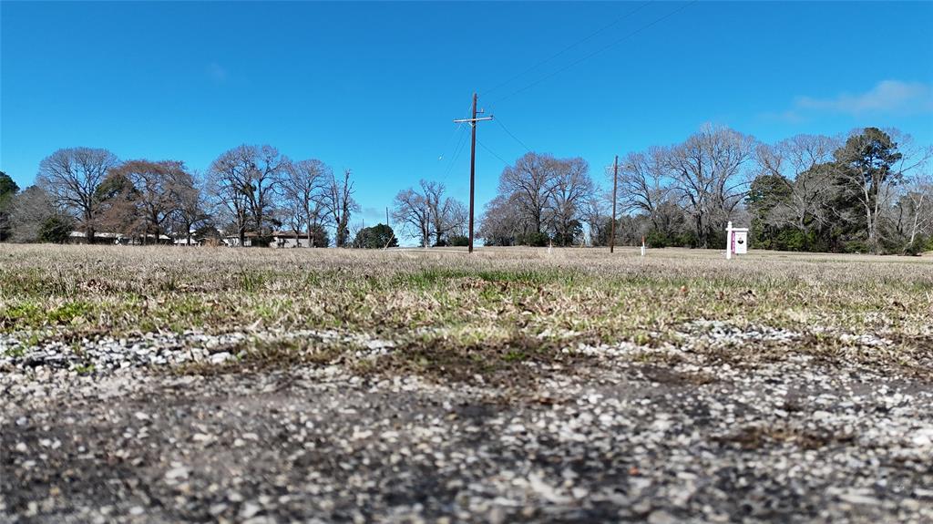 Lot 7 Westover Lane, Trinity, Texas image 11