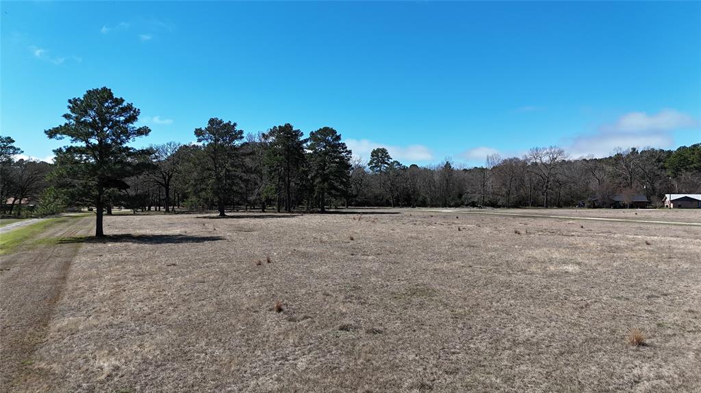 Lot 7 Westover Lane, Trinity, Texas image 3