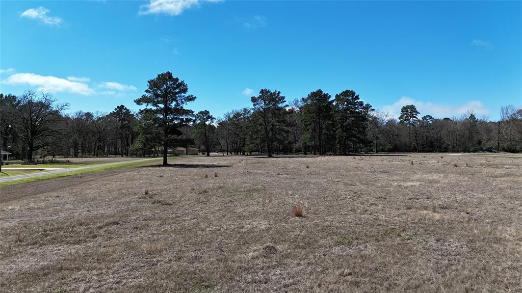 Lot 7 Westover Lane, Trinity, Texas image 4