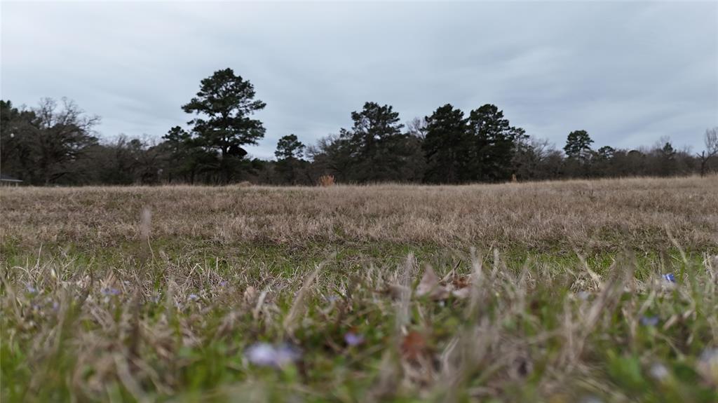 Lot 7 Westover Lane, Trinity, Texas image 16