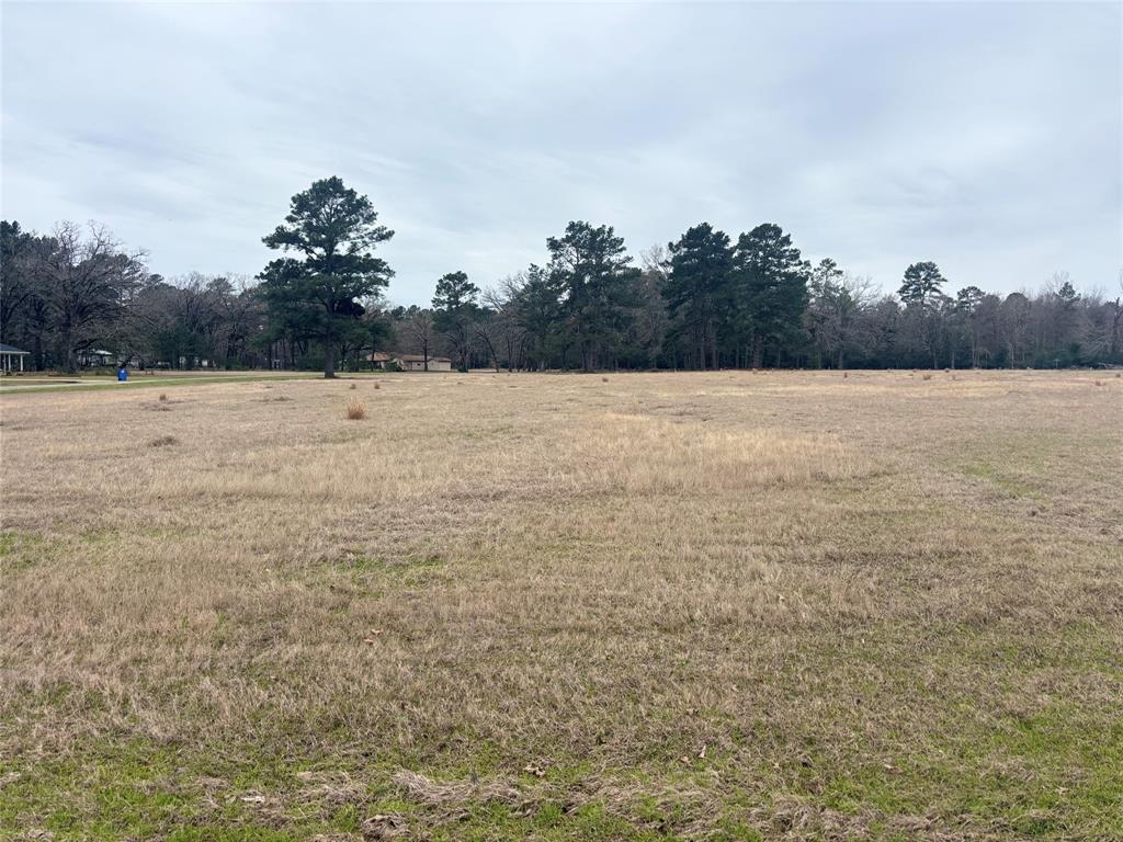 Lot 7 Westover Lane, Trinity, Texas image 17