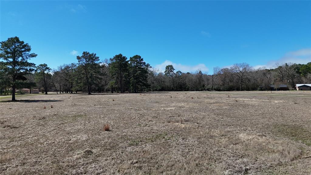 Lot 7 Westover Lane, Trinity, Texas image 1