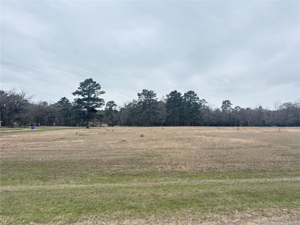 Lot 7 Westover Lane, Trinity, Texas image 18