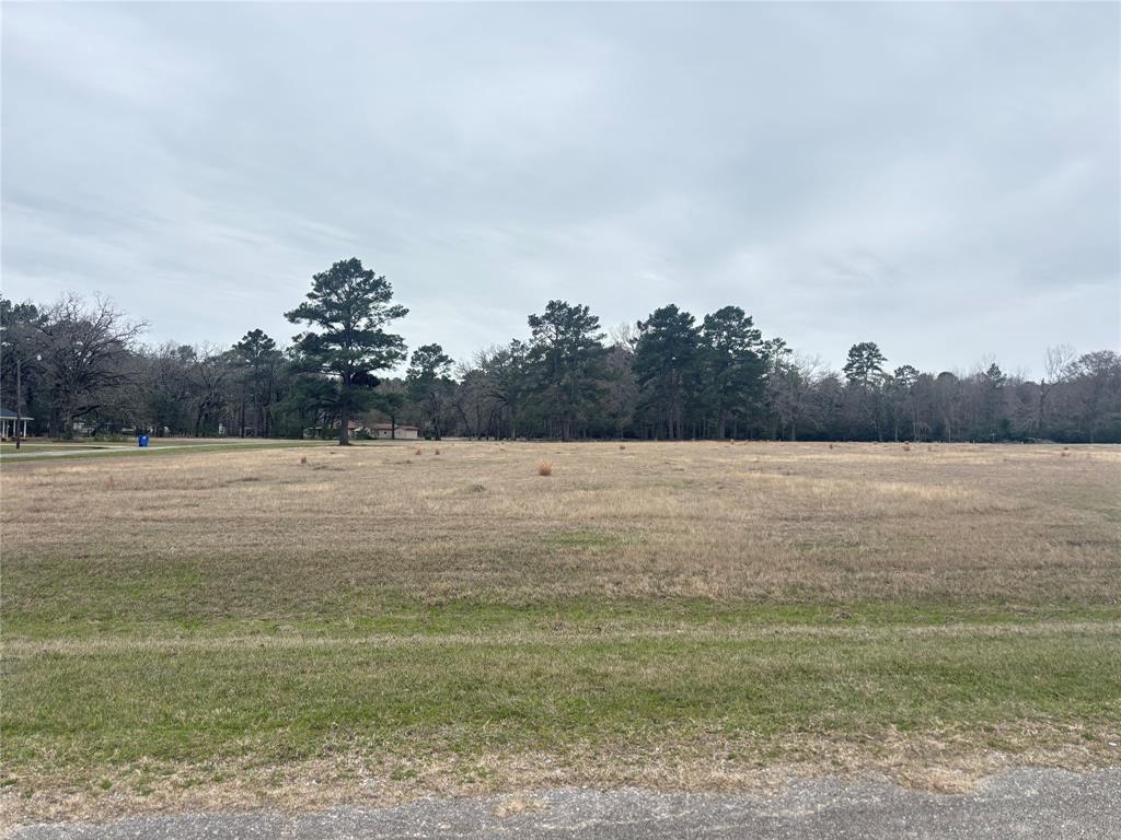 Lot 7 Westover Lane, Trinity, Texas image 13