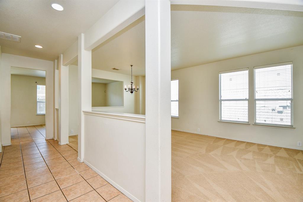 2910 Feather Green Trail, Fresno, Texas image 13